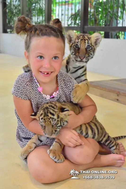Тигровый парк поездка Таиланд 13