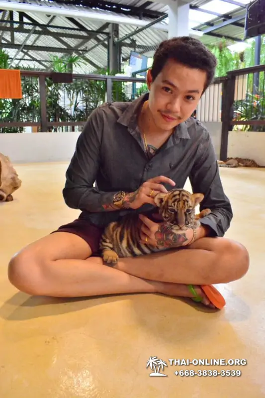 Тигровый парк поездка Таиланд 12