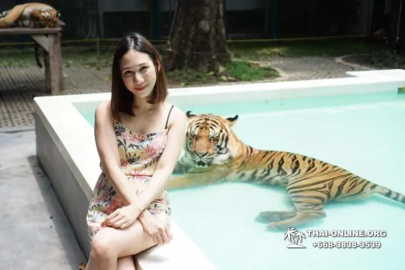 Тигровый парк поездка Таиланд 35