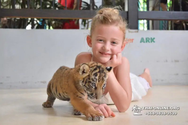 Тигровый парк поездка Таиланд 7