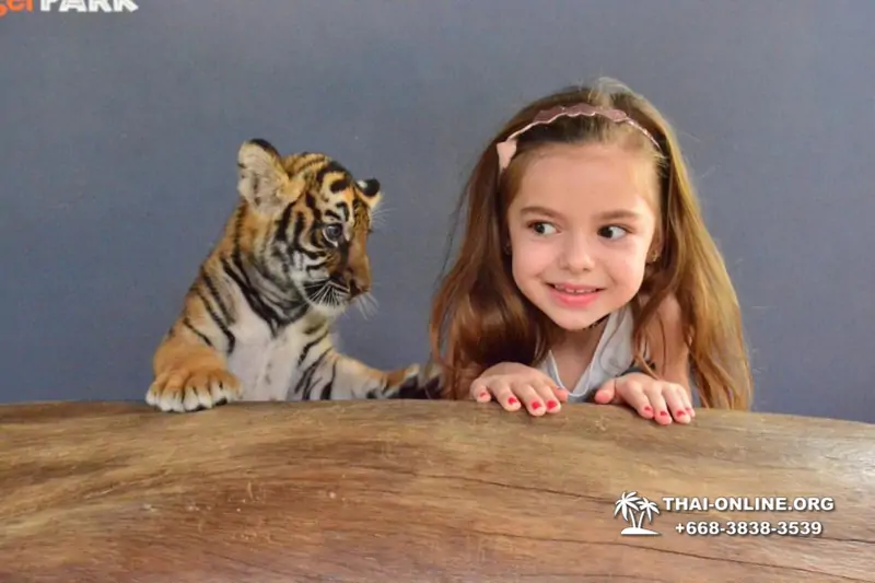 Тигровый парк поездка Таиланд 36
