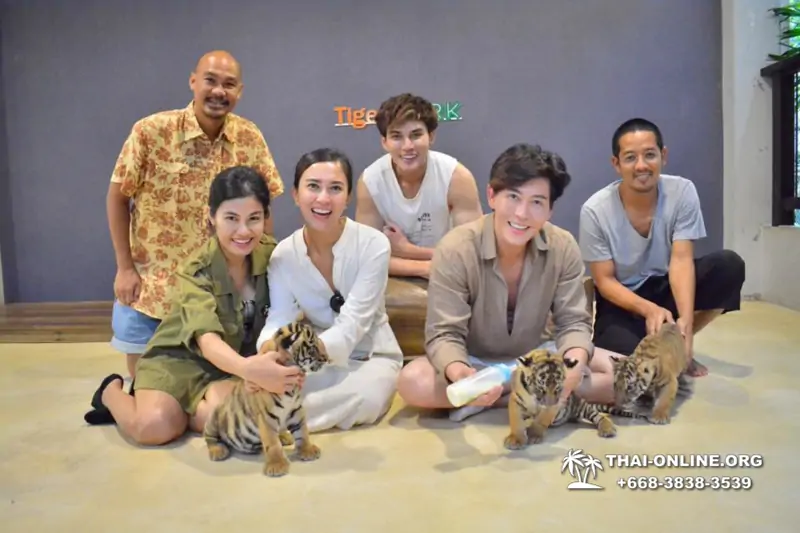 Тигровый парк поездка Таиланд 26