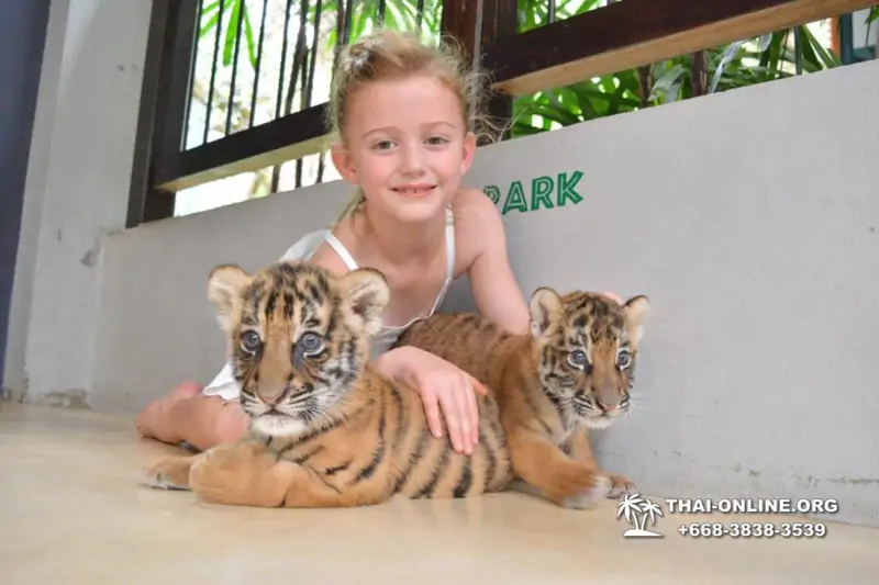 Тигровый парк поездка Таиланд 22