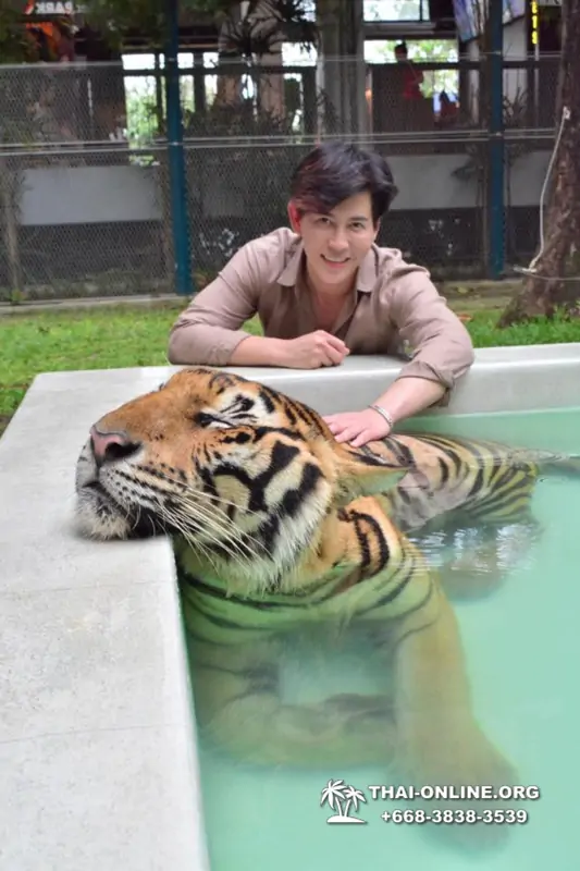 Тигровый парк поездка Таиланд 17