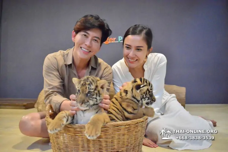 Тигровый парк поездка Таиланд 23