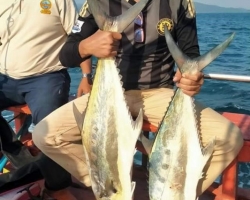 Рыбалка морская Тайланд - 46