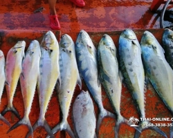 Рыбалка морская Тайланд - 35