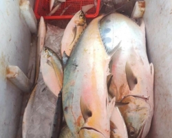 Большая морская рыбалка в Паттайе Real Fishing Таиланд 7 Countries 120