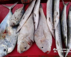 Большая морская рыбалка в Паттайе Real Fishing Таиланд 7 Countries 109