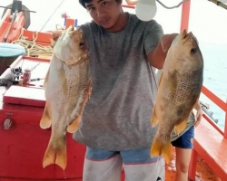 Рыбалка морская Тайланд - 15