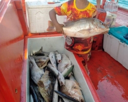 Большая морская рыбалка в Паттайе Real Fishing Таиланд 7 Countries 132