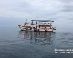 Большая морская рыбалка в Паттайе Real Fishing Таиланд 7 Countries 103