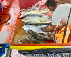 Большая морская рыбалка в Паттайе Real Fishing Таиланд 7 Countries 134