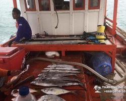 Большая морская рыбалка в Паттайе Real Fishing Таиланд 7 Countries 119