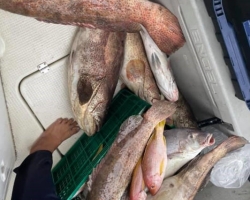 Большая морская рыбалка в Паттайе Real Fishing Таиланд 7 Countries 106