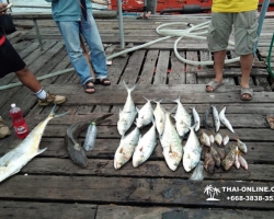 Большая морская рыбалка в Паттайе Real Fishing Таиланд 7 Countries 143