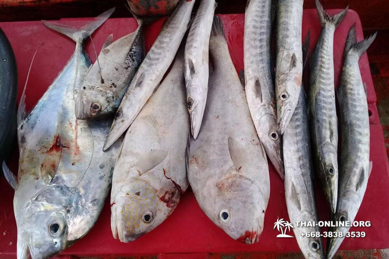 Морская рыбалка на крупную рыбу в Тайланде, экскурсии в Паттайе от компании 7 Стран фото 38
