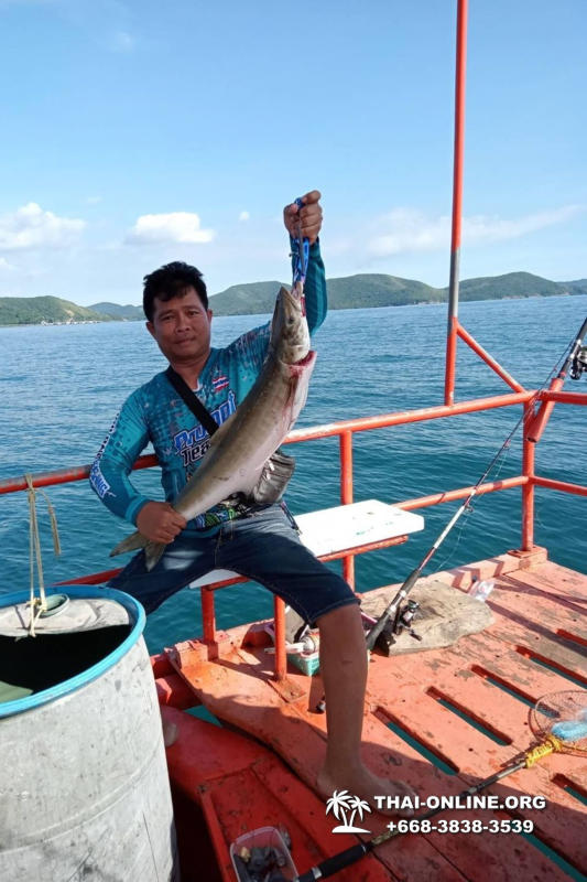 Морская рыбалка на крупную рыбу в Тайланде, экскурсии в Паттайе от компании 7 Стран фото 49