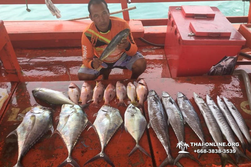 Морская рыбалка на крупную рыбу в Тайланде, экскурсии в Паттайе от компании 7 Стран фото 47