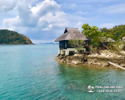 Поездка Тайская Полинезия - фотоальбом тура Паттайя 2019383