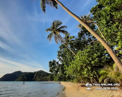 Поездка Тайская Полинезия - фотоальбом тура Паттайя 2019381