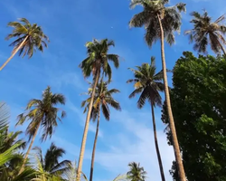 Поездка Тайская Полинезия - фотоальбом тура Паттайя 2019378