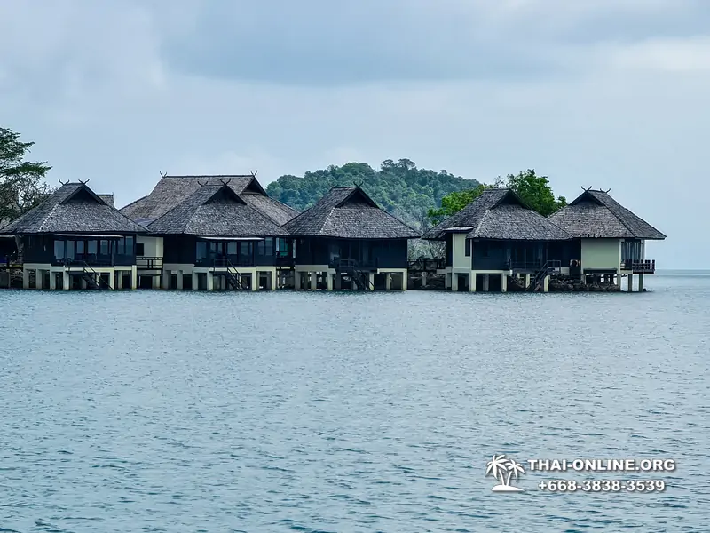 Поездка Тайская Полинезия - фотоальбом тура Паттайя 2019385