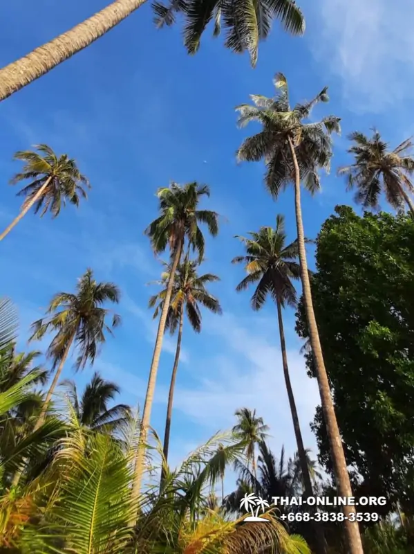 Поездка Тайская Полинезия - фотоальбом тура Паттайя 2019378