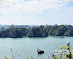 Тур из Паттайи во Вьетнам Халонг фото Thai Online 54