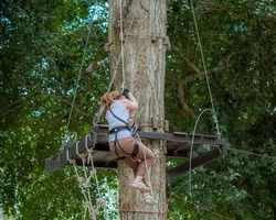 Tarzan Flight TreeTop Trail and Tarzan Adventure Pattaya Таиланд 30