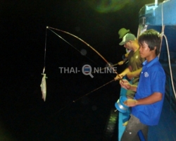 Ночная рыбалка поездка Тайланд - фото 7