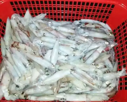 Ночная рыбалка поездка Тайланд - фото 5