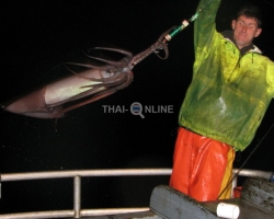 Ночная рыбалка поездка Тайланд - фото 2