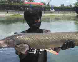 Пресноводная рыбалка Тайланда 181202018-101