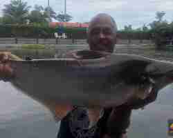 Пресноводная рыбалка Тайланда 18122018-97