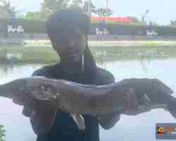 Пресноводная рыбалка Тайланда 181202018-104