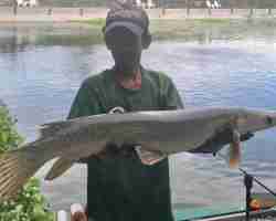 Пресноводная рыбалка Тайланда 181202018-103