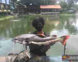 Пресноводная рыбалка Тайланда 18122018-99