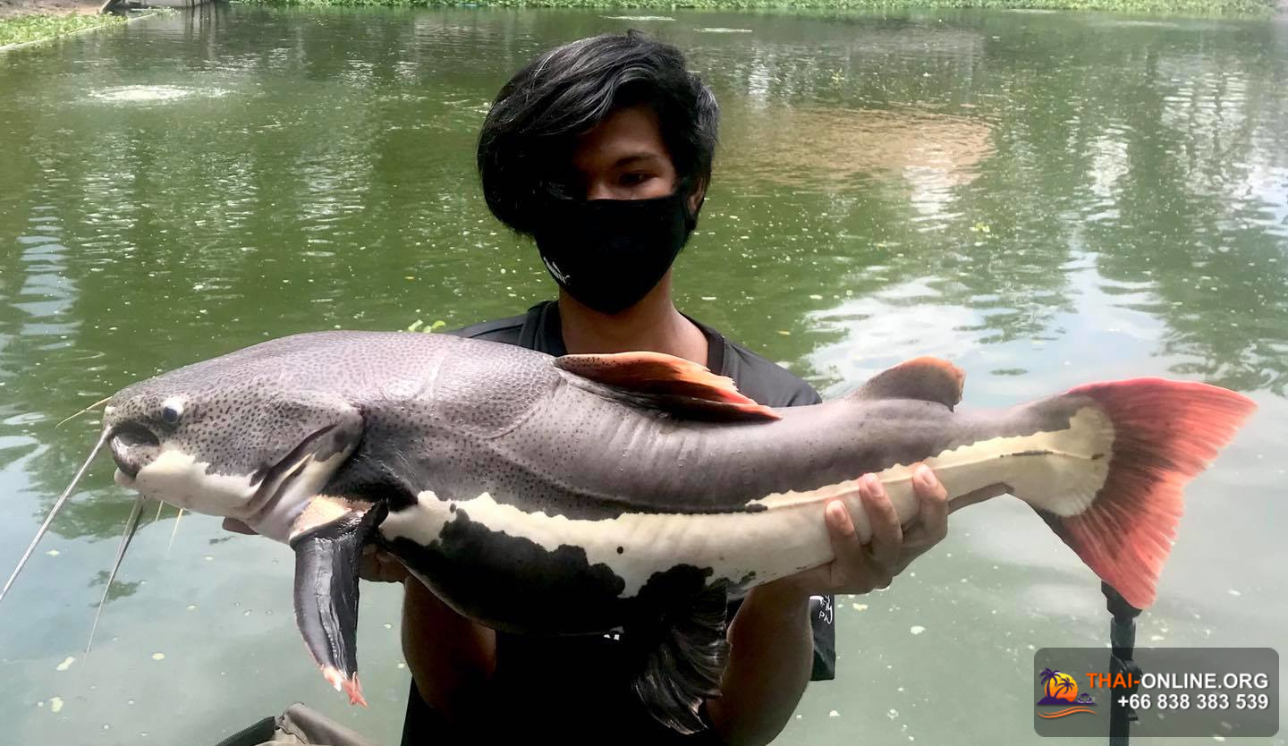 Пресноводная рыбалка Тайланда 18122018-96