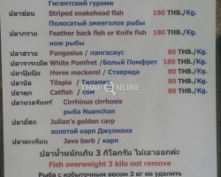 Рыбалка на сомов в Тайланде - фото Thai-Online (6)