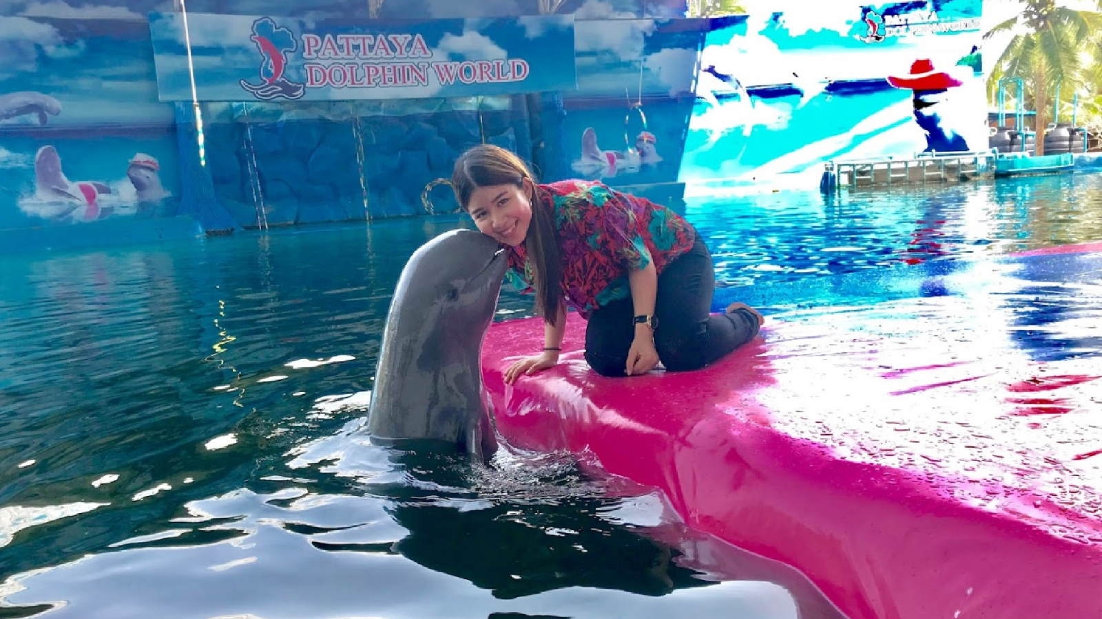 Шоу и купание с дельфинами Pattaya Dolphin World - Экскурсии в Паттайе  Таиланде 2024 цены описание отзывы