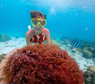 Остров Paradise