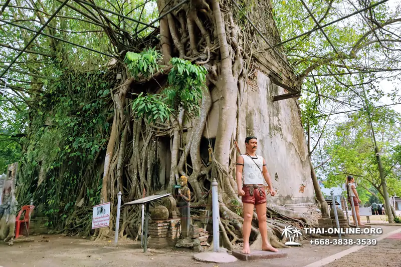 Экскурсия в город на воде Ампхава из Паттайи и Бангкока с компанией Magic Thai фото 6